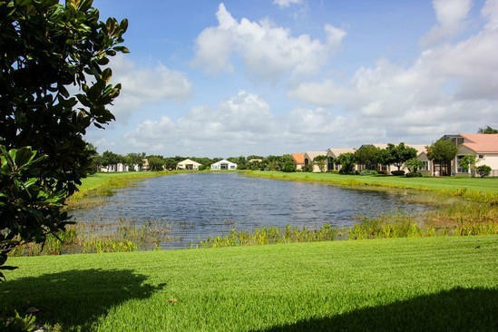 lake view