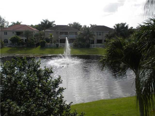 lake view with fountain