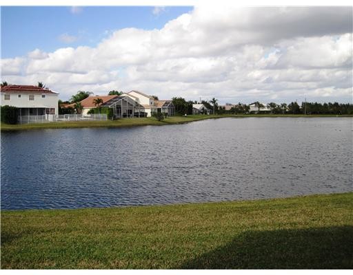 sparkling lake view