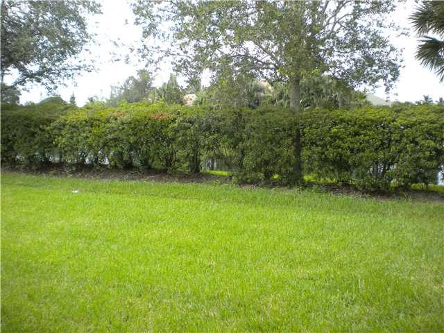 back yard
